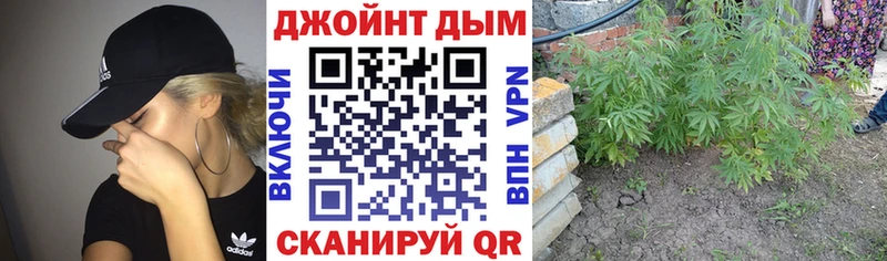 Наркотические вещества Лыткарино Каннабис  Кокаин  Кодеин  Гашиш  мега как войти  A PVP 
