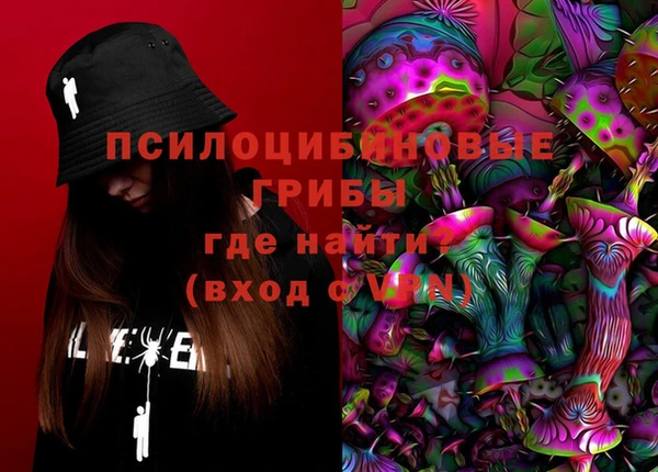 стафф Белокуриха